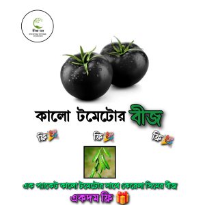 ২ প্যাকেট কালো টমেটোর বীজ + ২ প্যাকেট কেরেলা সিমের বীজ ফ্রি!